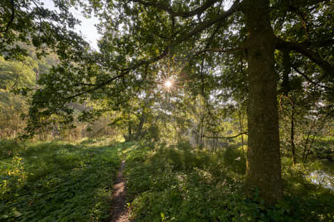 Gemeinde Winhöring Landkreis Altötting Steinhöring Isen Landschaft Pilgerweg (Dirschl Johann) Deutschland AÖ